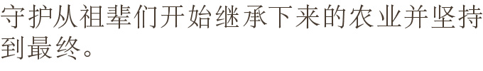 先人達から受け継いだ農業を守り抜いていきたい