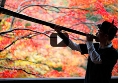 ディジュリドゥ演奏家NATA出演　東京多摩国際プロジェクト商品ＣＭ動画