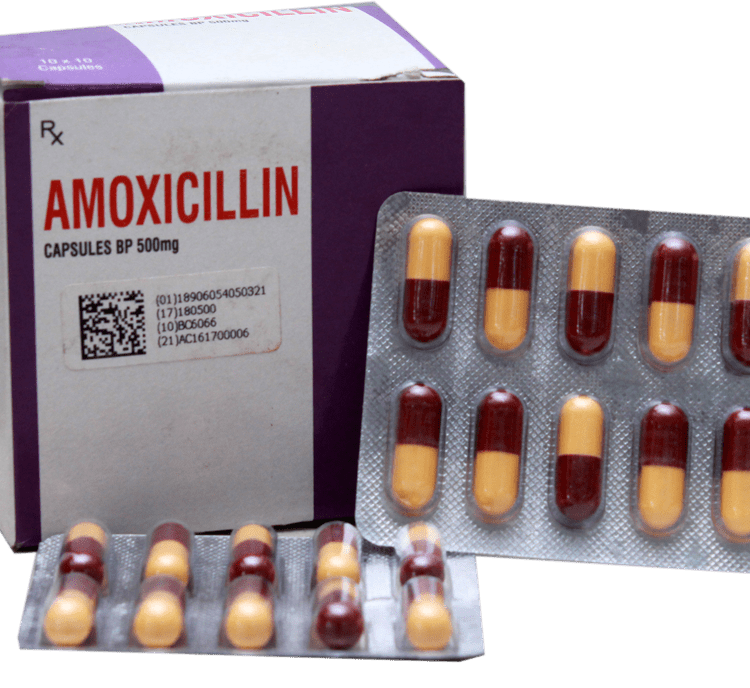 cost for amoxicillin 500mg